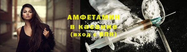 сатива Дмитровск