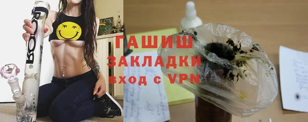 сатива Дмитровск