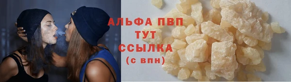прущие грибы Ельня
